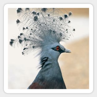 victoria crowned pigeon Sticker